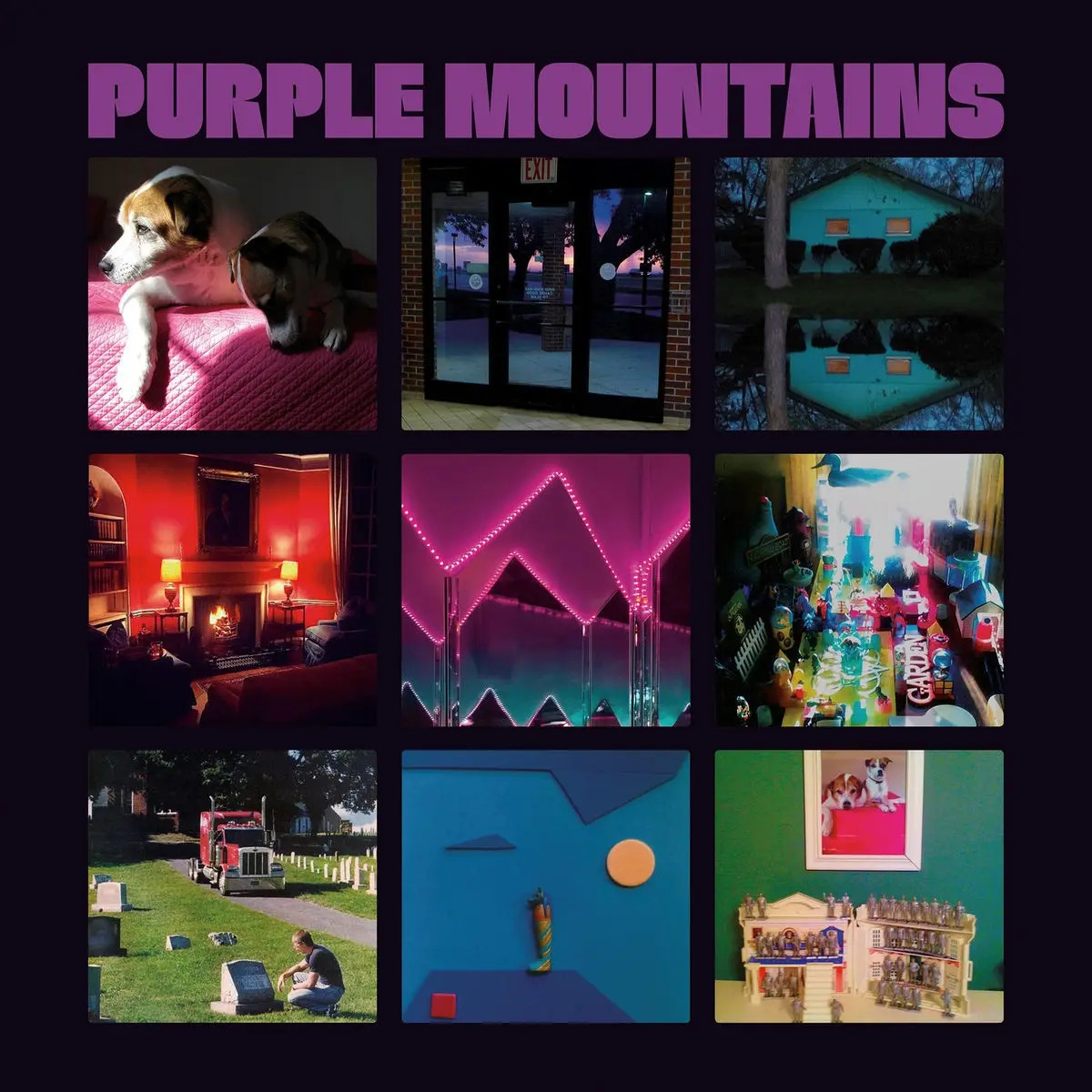 purplemountainsalbum.jpg